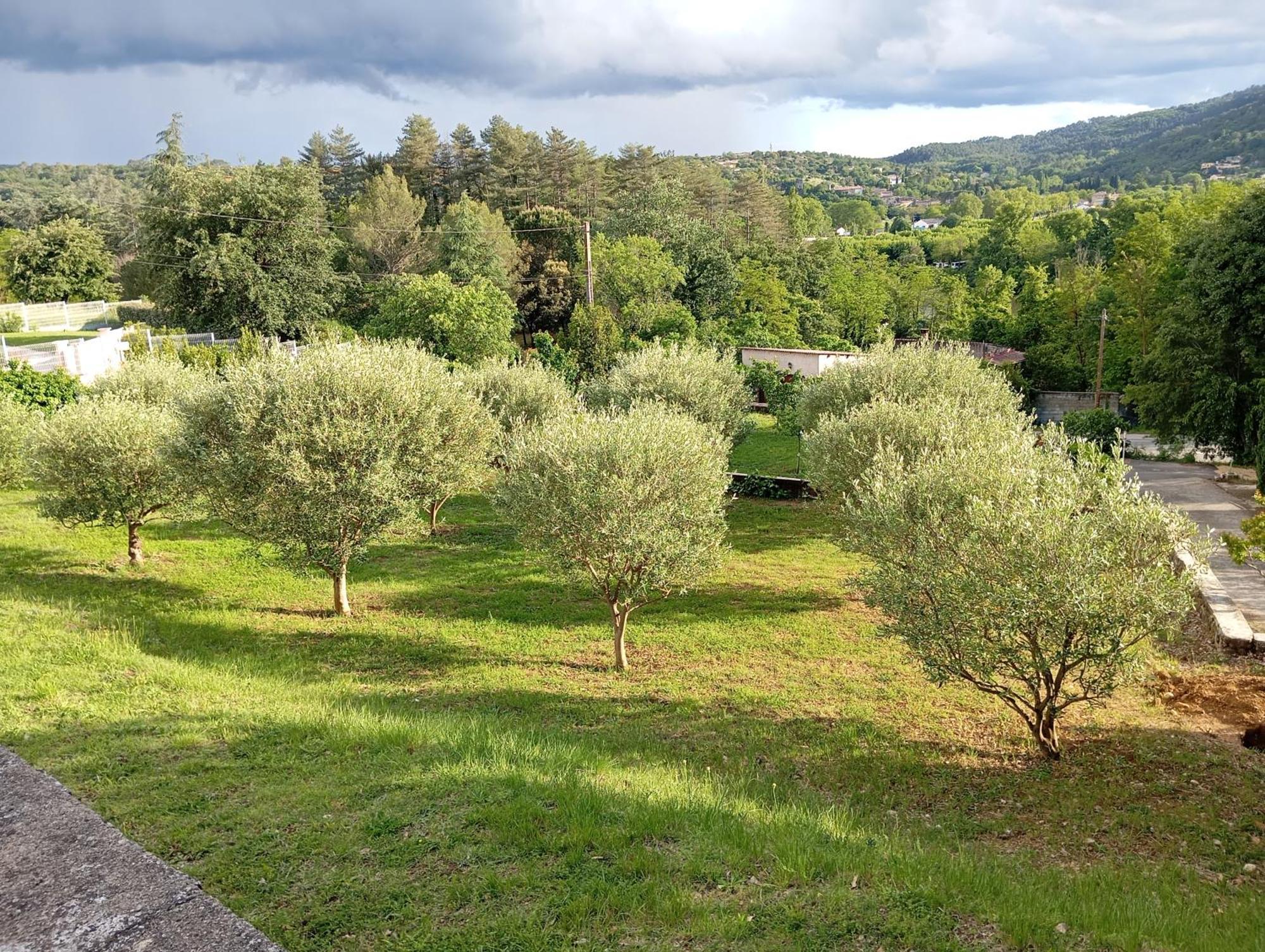 Vallon-Pont-dʼArc Le Moulin 빌라 외부 사진